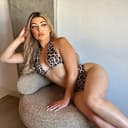 Plushtravel TikTok Profile Photo