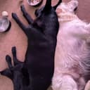 Ugcwithcraig TikTok Profile Photo