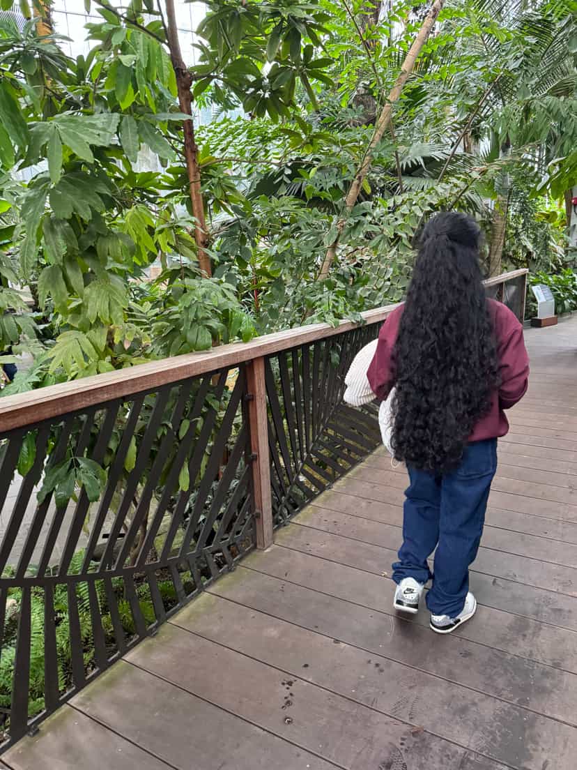 Profile