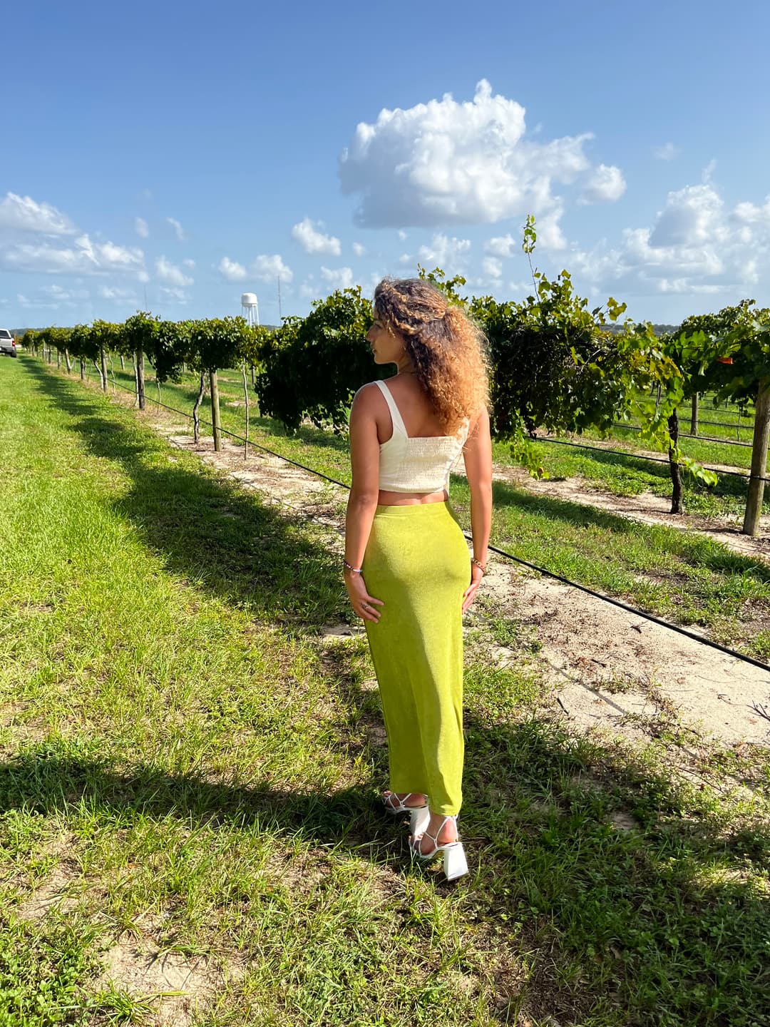 Creator Alanis photo