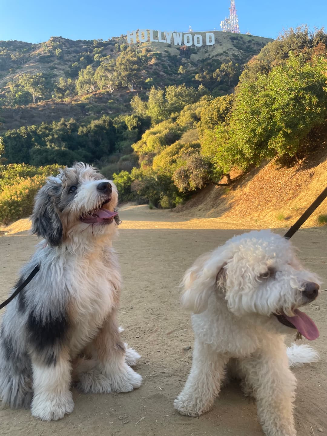 Creator Remi & Rain photo